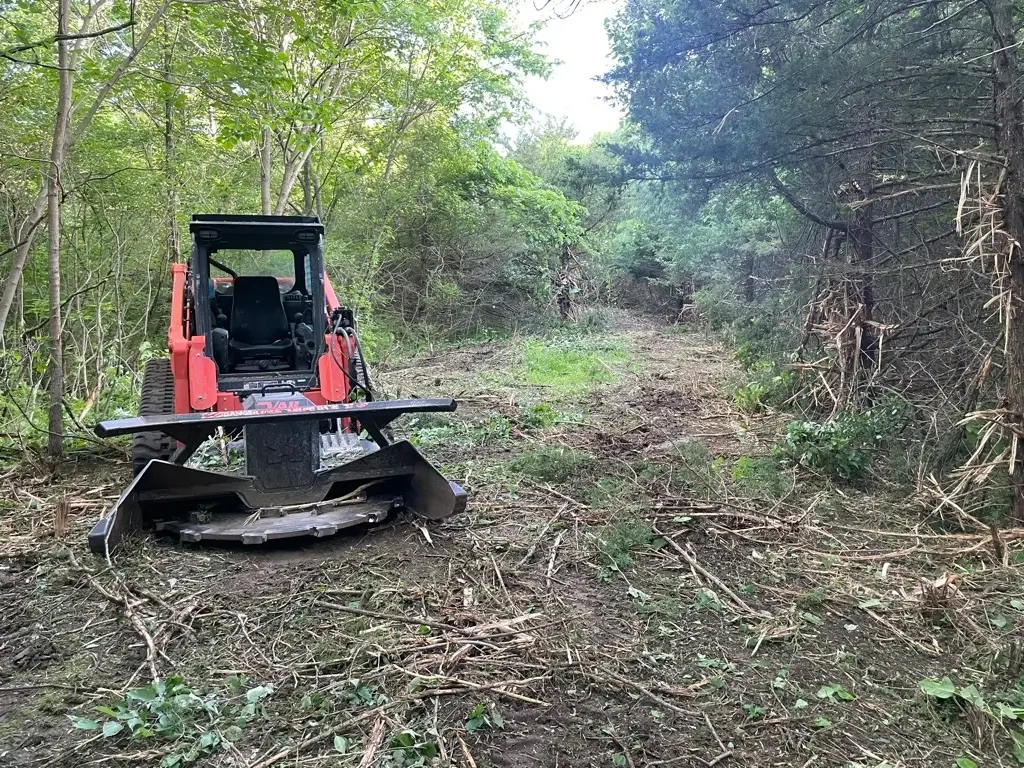 skid steer with timber cutting attachment sitting in a cleared out area of a forest